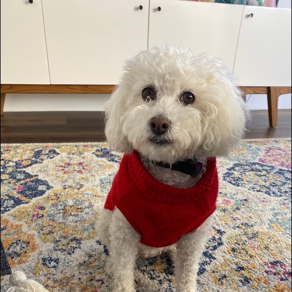 Meet your Posher, Teresa - Picture 1 of 1